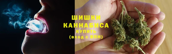 гашик Иннополис