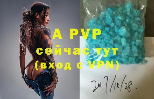 гашик Иннополис