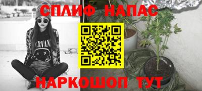 PSILOCYBIN Боровичи